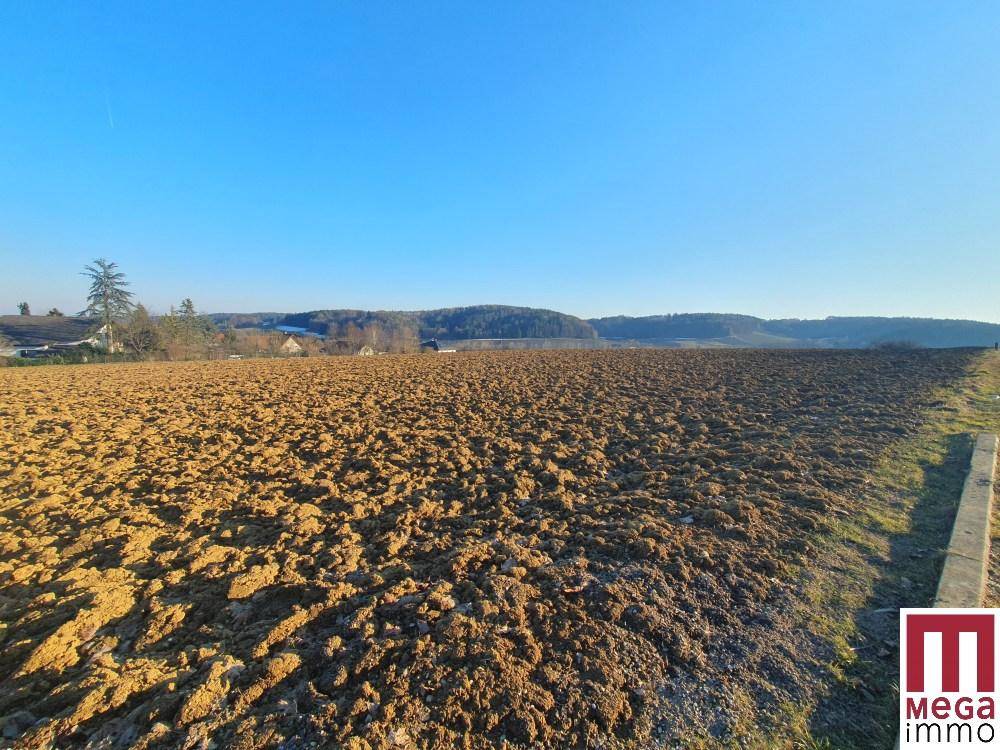 Sonniges Ackerfeld mit tiefen Furchen, das sich bis zum Horizont und einem Waldrand erstreckt.