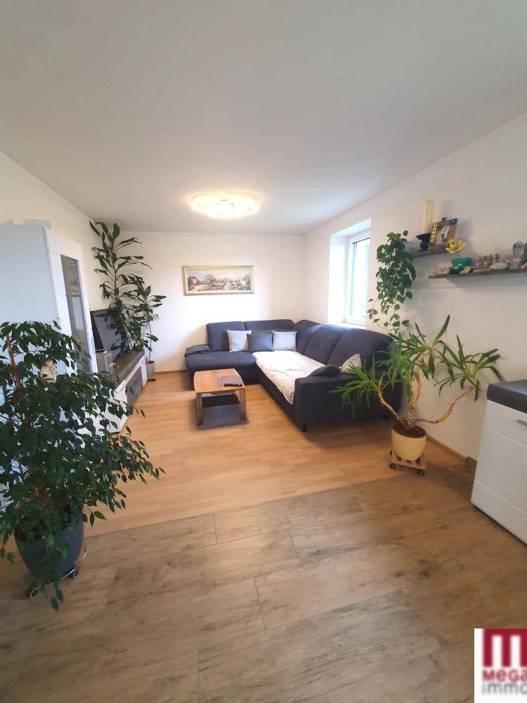 Gemütliches Wohnzimmer mit Ecksofa, Holzboden und vielen Pflanzen, hell und einladend gestaltet.