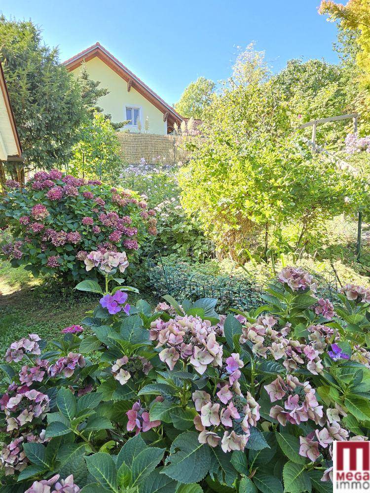 Garten (15)