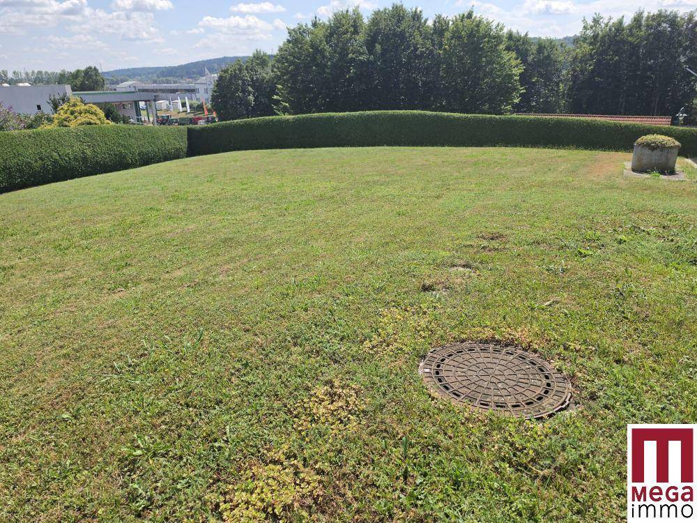 Großer, gepflegter Rasenbereich mit hoher Hecke und sonnigem Wetter.