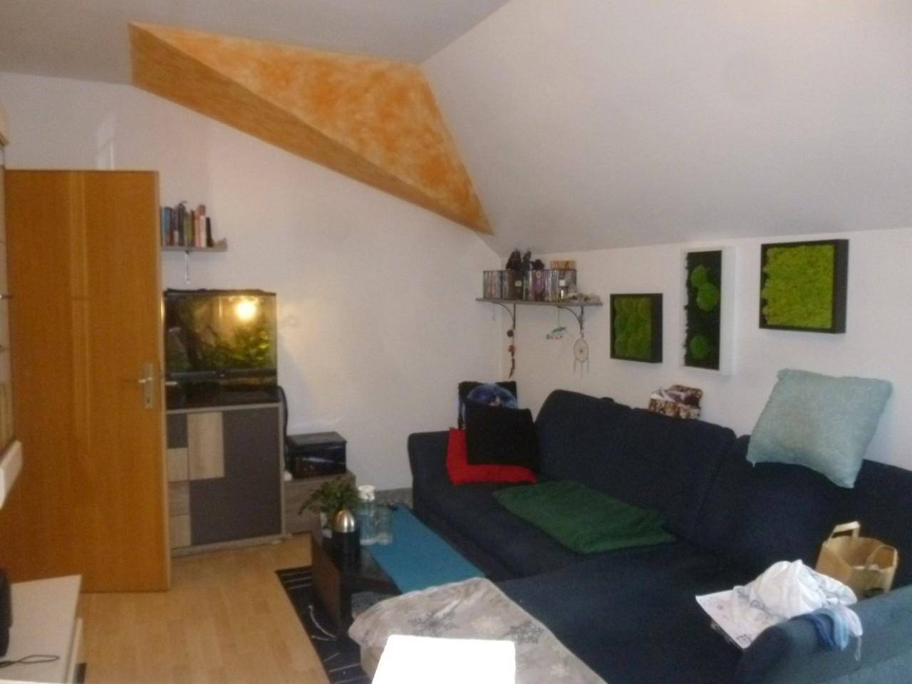 Wohnbereich mit bequemer Couch, Fernseher und dekorativen Moosbildern an der Wand.