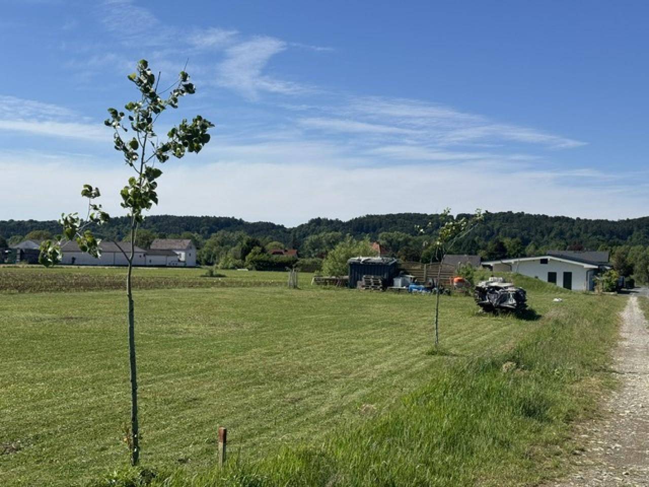 Weitläufiges Grundstück mit grüner Wiese, jungen Bäumen und ländlicher Umgebung unter blauem Himmel.