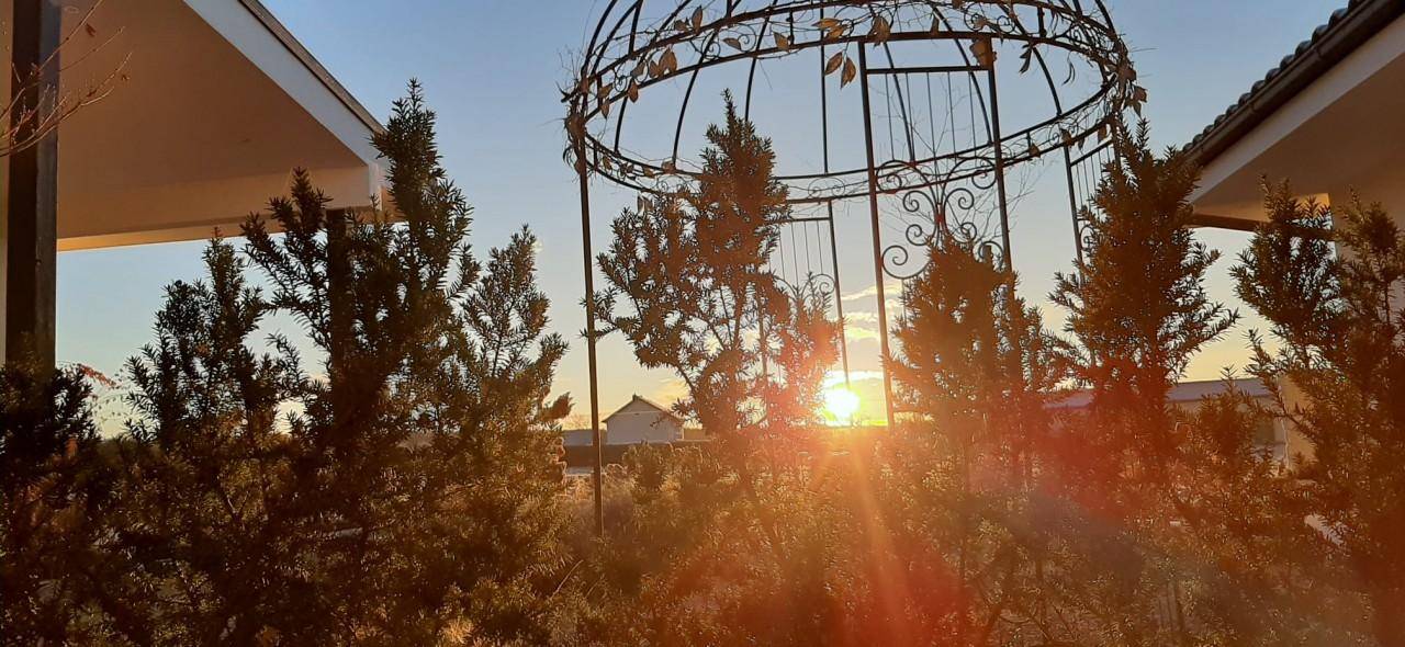 Stimmungsvoller Sonnenuntergang über einem Gartenbereich mit dekorativem Metallpavillon und Bäumen.