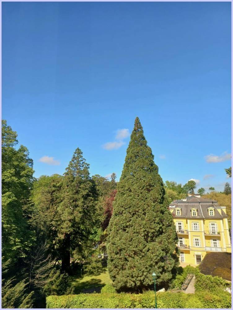 Schlafzimmer Ausblick