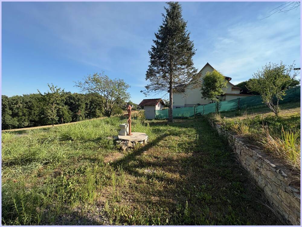 Gartenbereich mit einer alten Wasserpumpe, einem hohen Baum und einem Haus im Hintergrund.