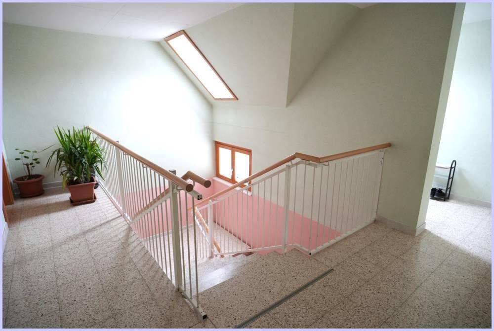 Helles Treppenhaus mit Geländer, Pflanzen und einem Oberlicht für natürliches Licht.