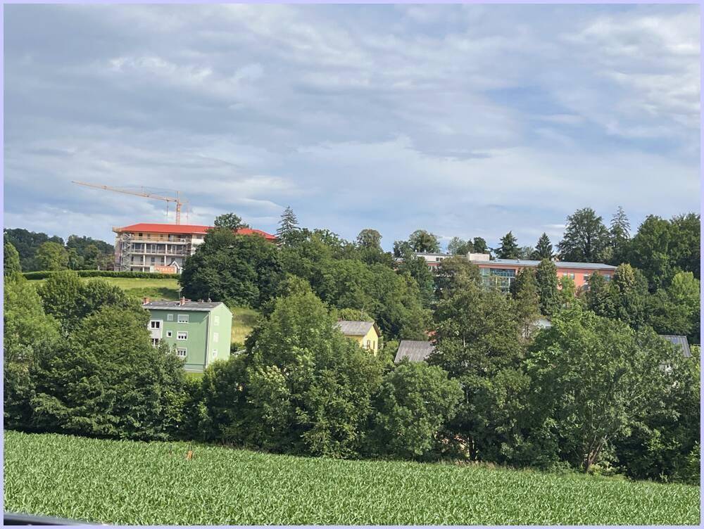 Blick auf ein grünes Feld mit Bäumen und ein entferntes Gebäude im Bau mit einem Kran.