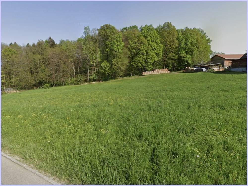Weitläufige grüne Wiese am Waldrand mit gestapeltem Holz und ländlicher Umgebung.