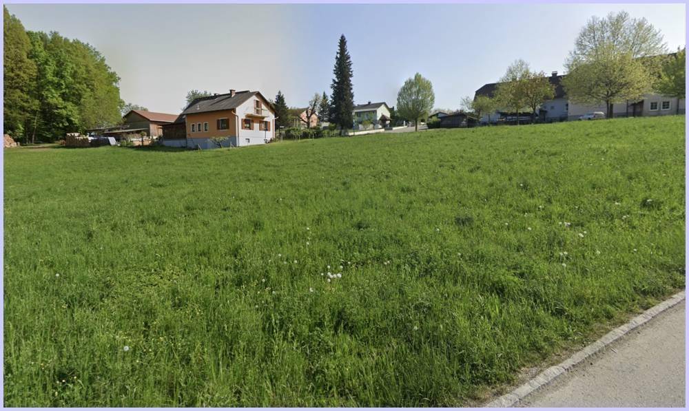 Offenes Wiesengrundstück mit Blick auf benachbarte Wohnhäuser und Bäume unter blauem Himmel.