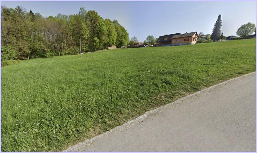 Ausgedehnte grüne Wiese neben einer Straße, umgeben von Wald und ländlicher Bebauung.