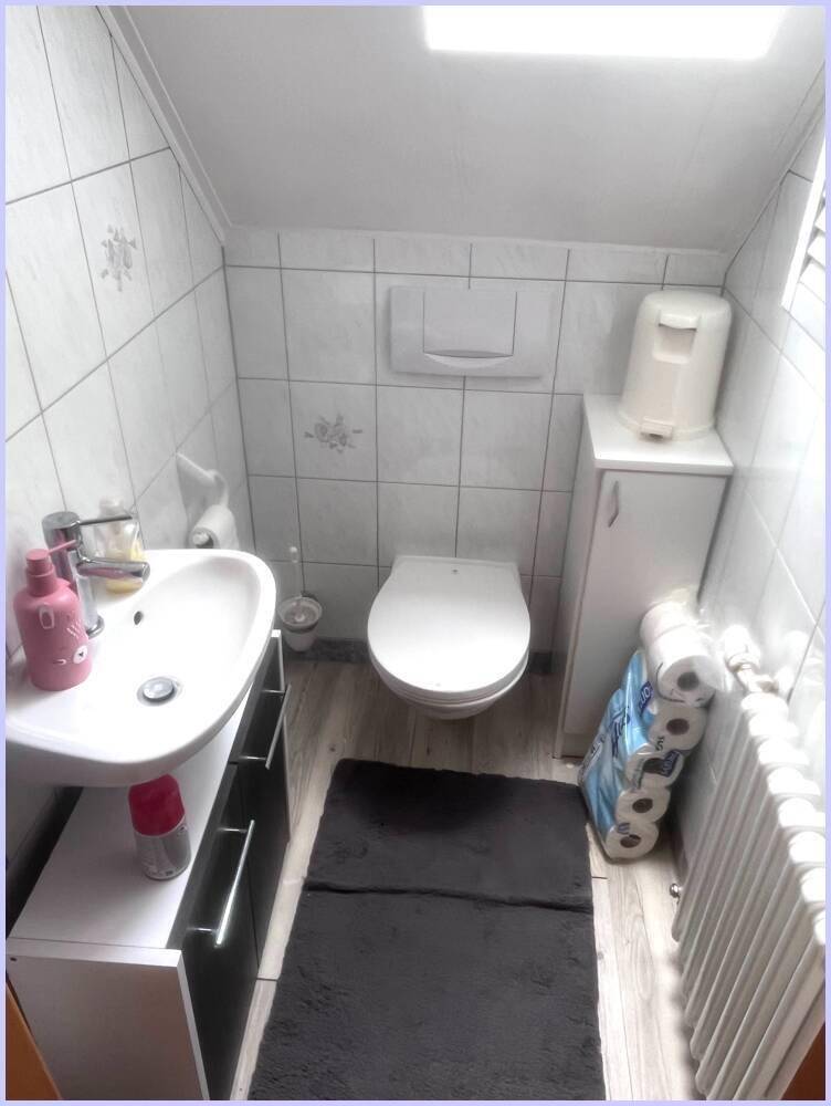 Kleines Gäste-WC mit Wand-WC, Waschbecken und Dachfenster.