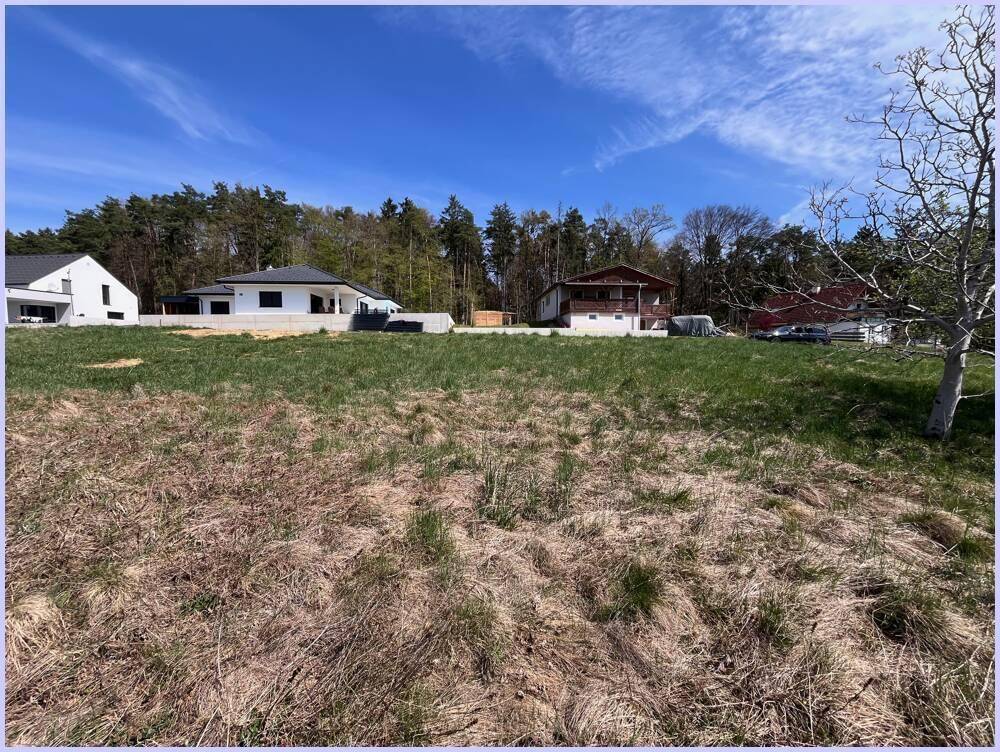 Weitläufiges, sonniges Grundstück mit Gras und modernen Häusern sowie Wald im Hintergrund.