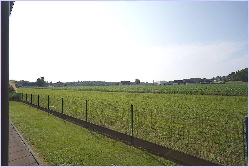 Weitläufiger Blick von der Immobilie auf die angrenzenden grünen Felder und die ländliche Umgebung.