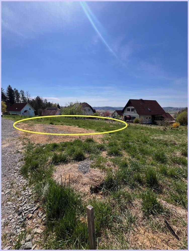 Blick auf ein sonniges, unbebautes Grundstück mit Gras und Häusern im Hintergrund unter blauem Himmel.
