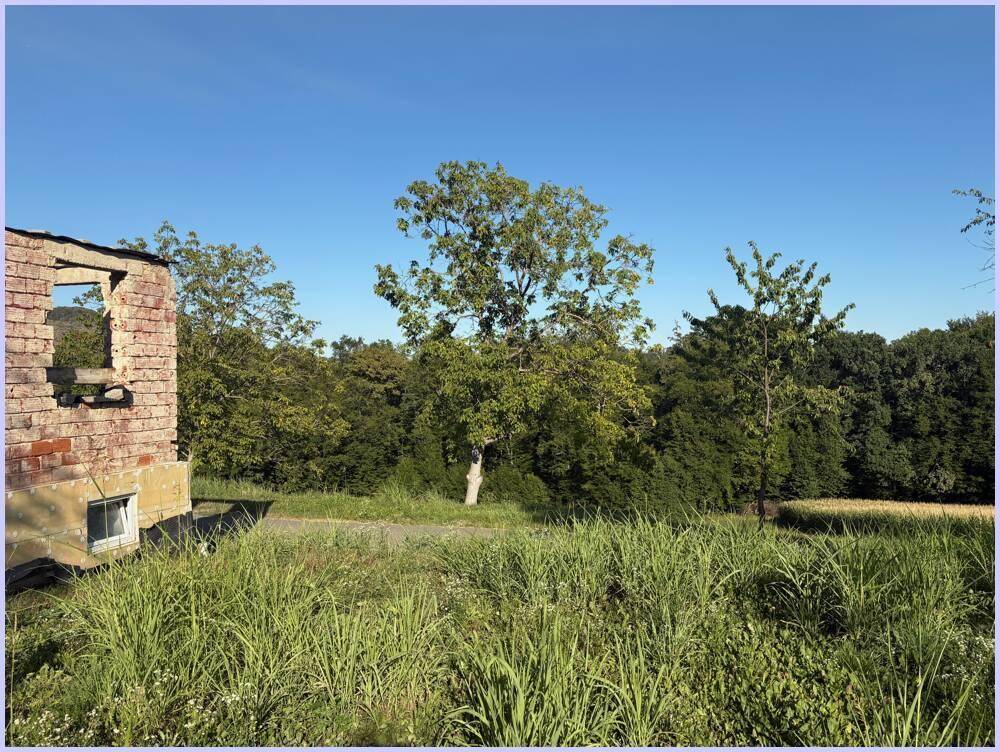 Blick aus der Ruine auf eine weite grüne Wiese und dichte Bäume unter blauem Himmel.