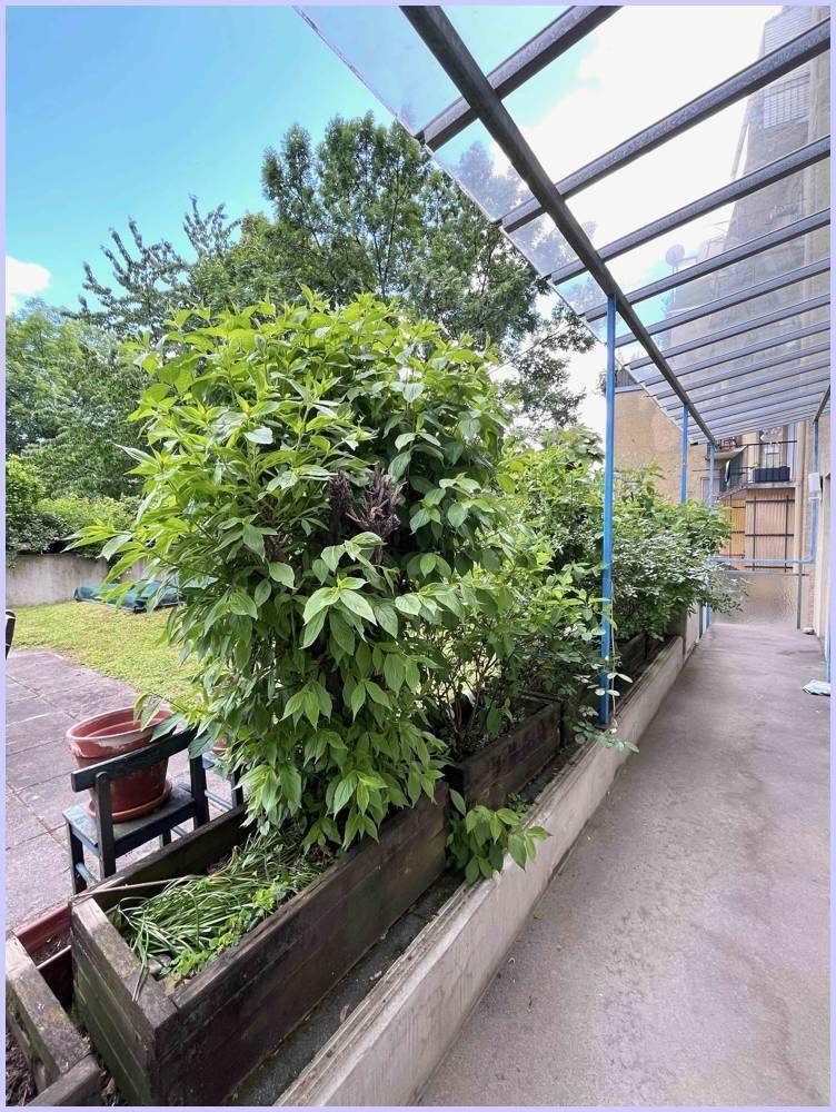 Gemeinschaftsgarten2