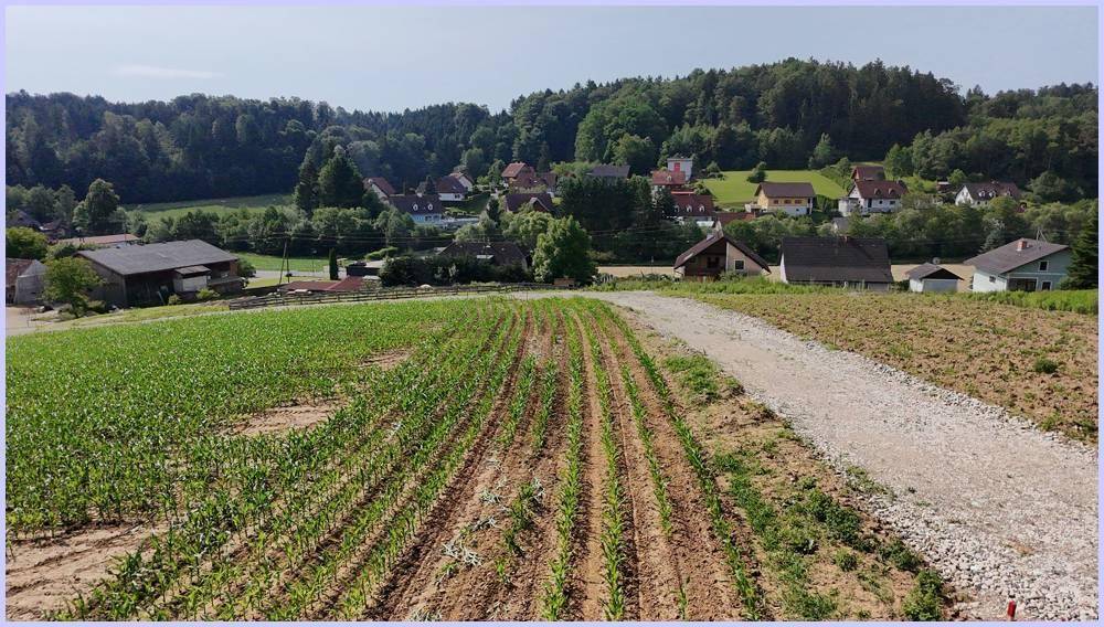 Traumhaftes Baugrundstück, sonniger Südhang. letztes Grundstück 955m², 0,2-04, Kirchberg an der Raab - Ansicht 4