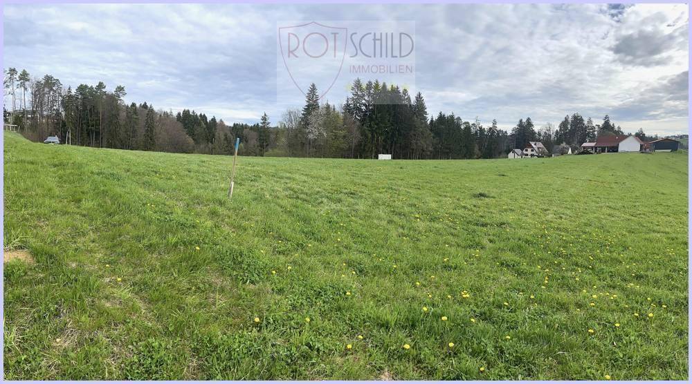Wunderschöner Bauplatz - Nähe Sankt Josef in der Weststeiermark. Unverbaubare grüne ruhige Lage. - Ansicht 5