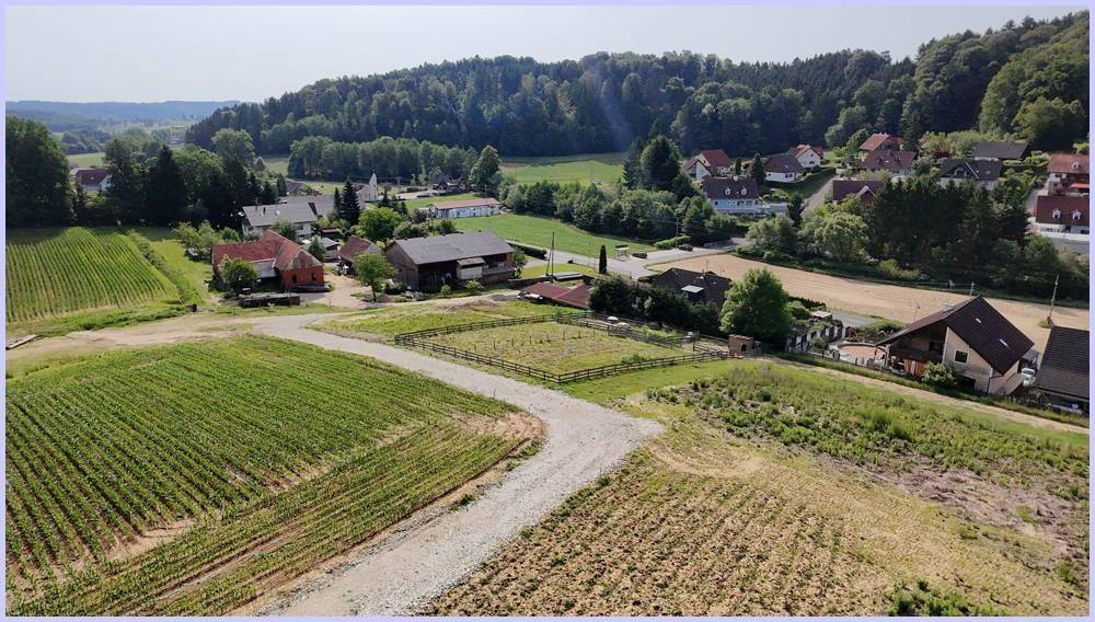 Traumhaftes Baugrundstück, sonniger Südhang. letztes Grundstück 955m², 0,2-04, Kirchberg an der Raab - Ansicht 6