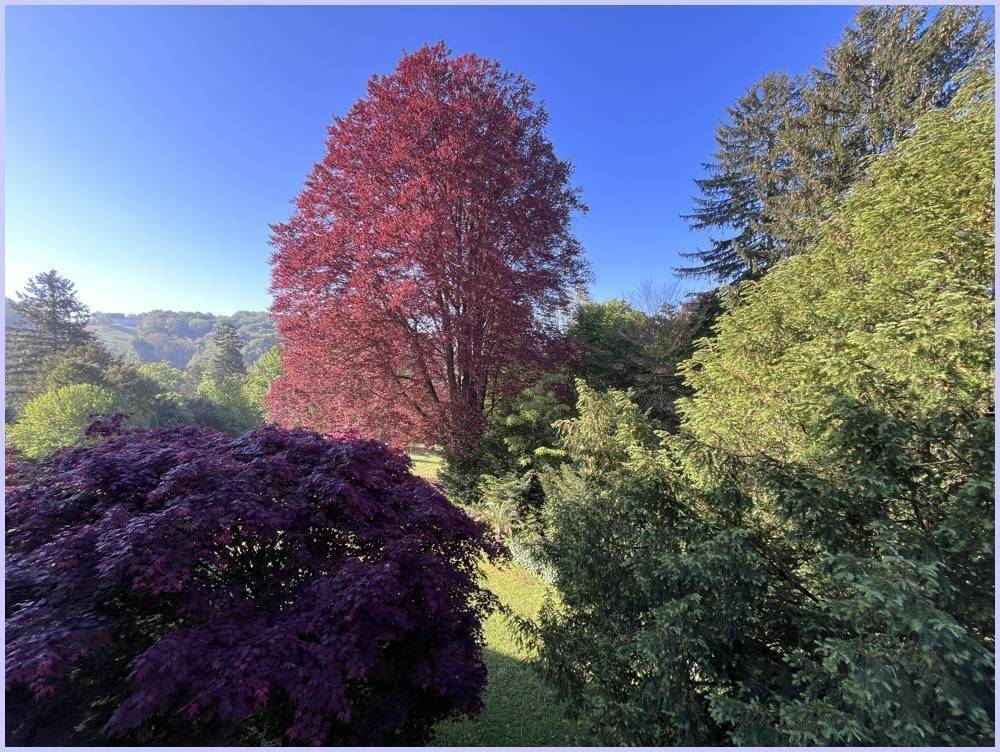 Wohnzimmer-Ausblick in den Park