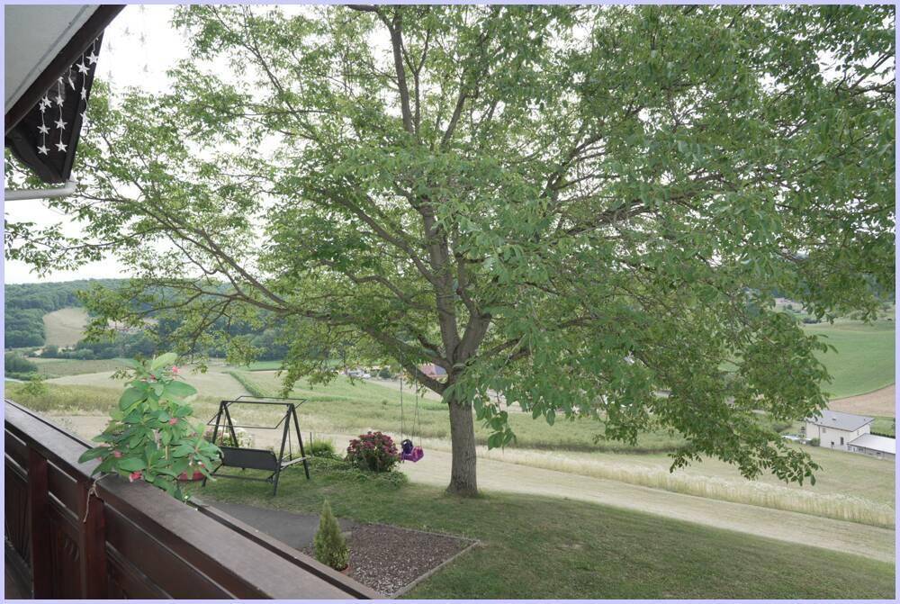 Balkon mit Blick auf einen großen Baum und eine Schaukel, umgeben von der ruhigen Naturlandschaft.