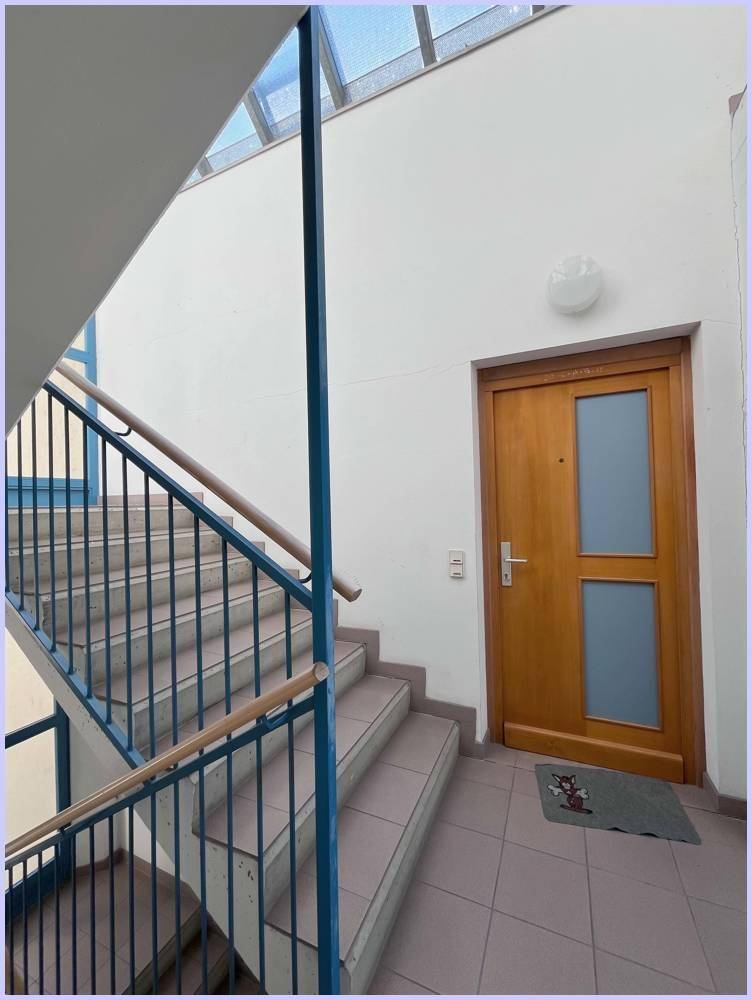 Stiegenhaus Eingangstüre