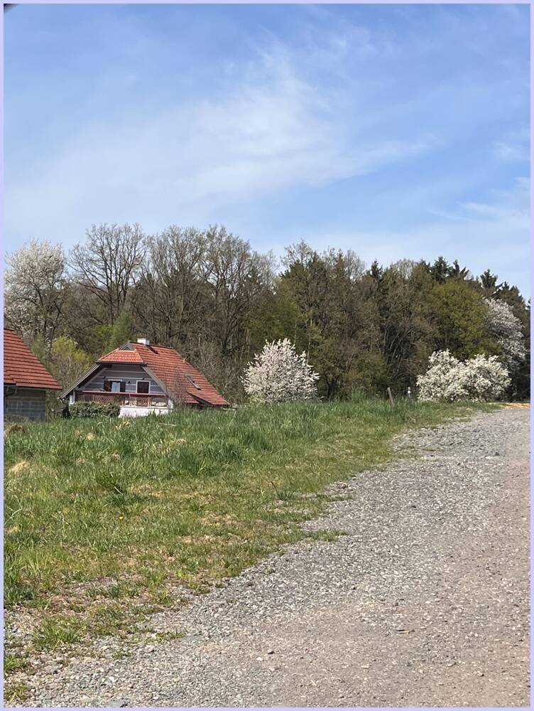 Unbebautes Grundstück mit Schotterweg, umgeben von Bäumen und einem Haus mit rotem Dach in der Ferne.