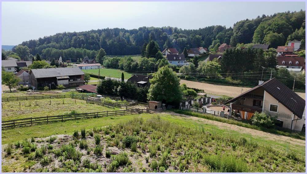 Blick über eine grüne Wiese und Felder auf eine Ansammlung von Häusern und bewaldete Hügel.