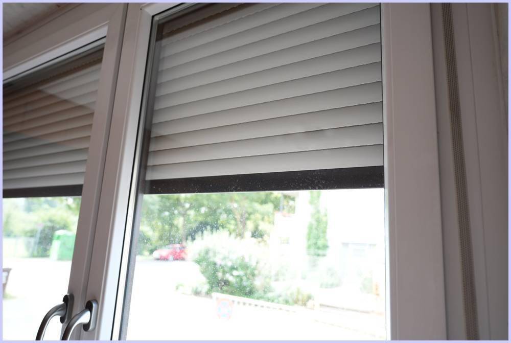 Fenster- Rollos