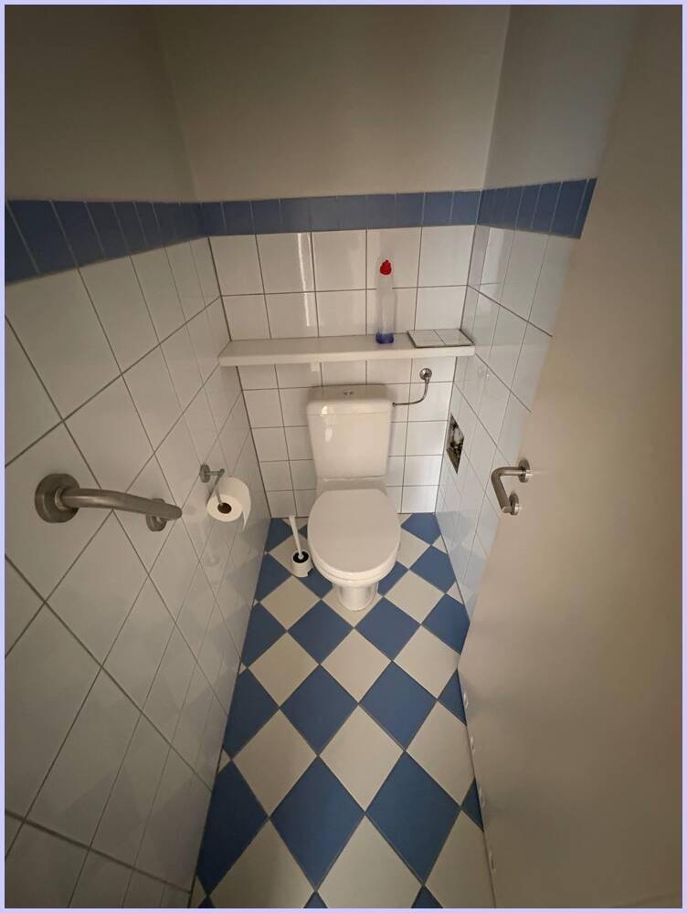 Separate Toilette mit blauen und weißen Fliesen sowie Haltegriffen.