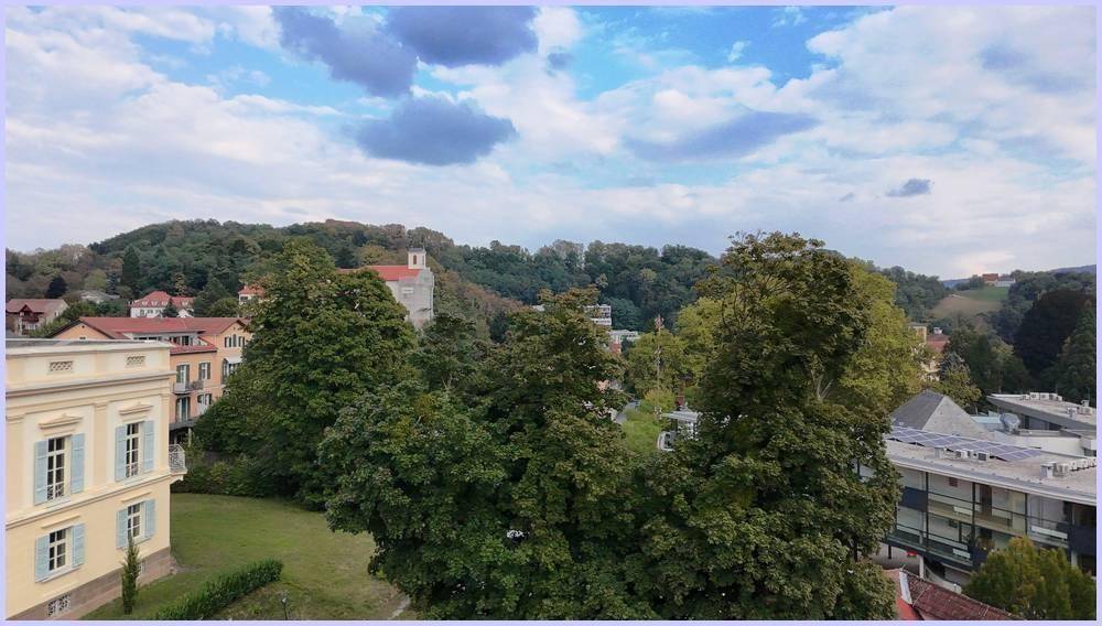 Blick über eine grüne Stadtlandschaft mit alten Gebäuden und vielen Bäumen unter blauem Himmel.