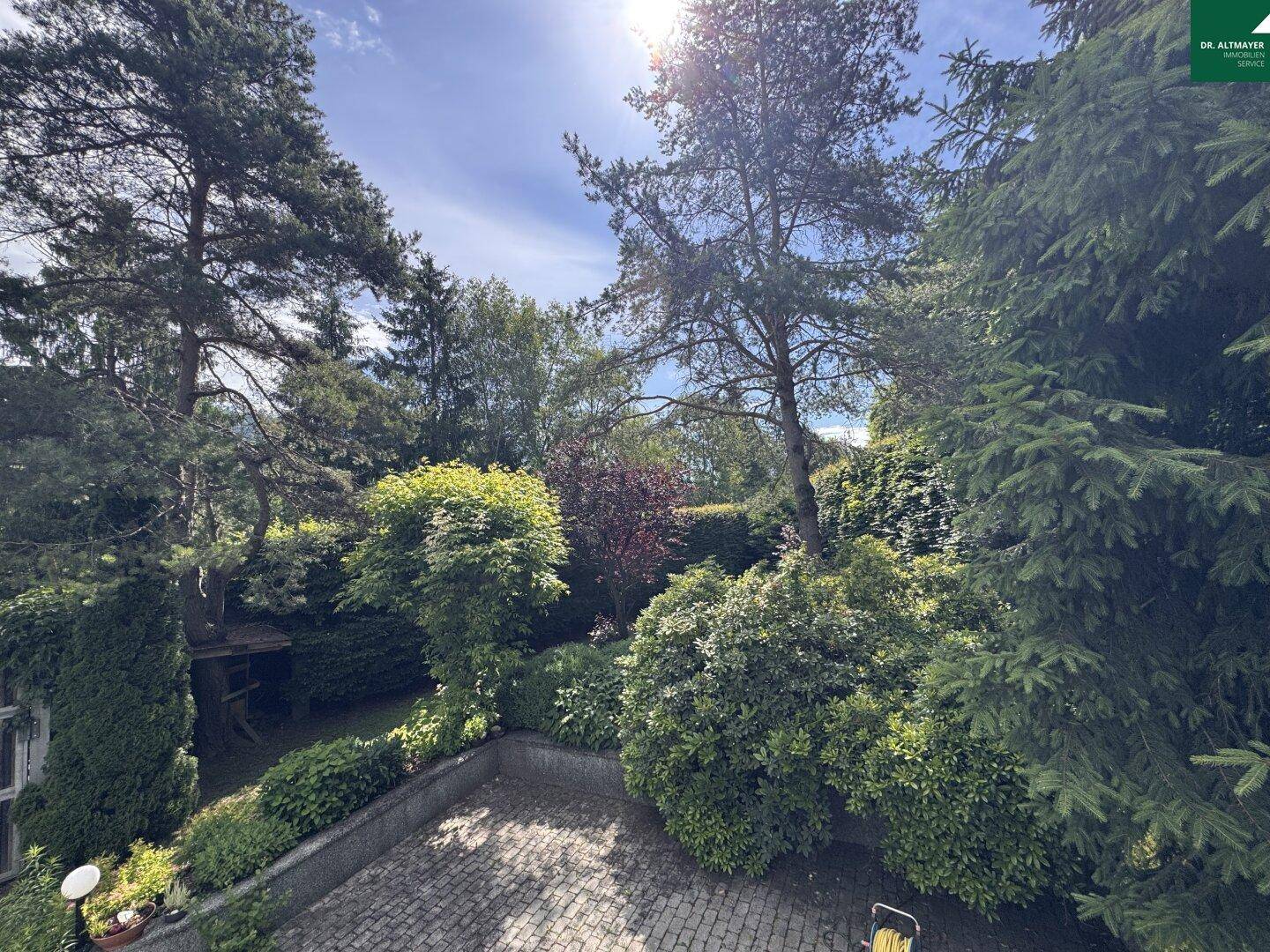 Üppiger, sonniger Garten mit vielfältigen Bäumen und Sträuchern sowie einem gepflasterten Bereich.