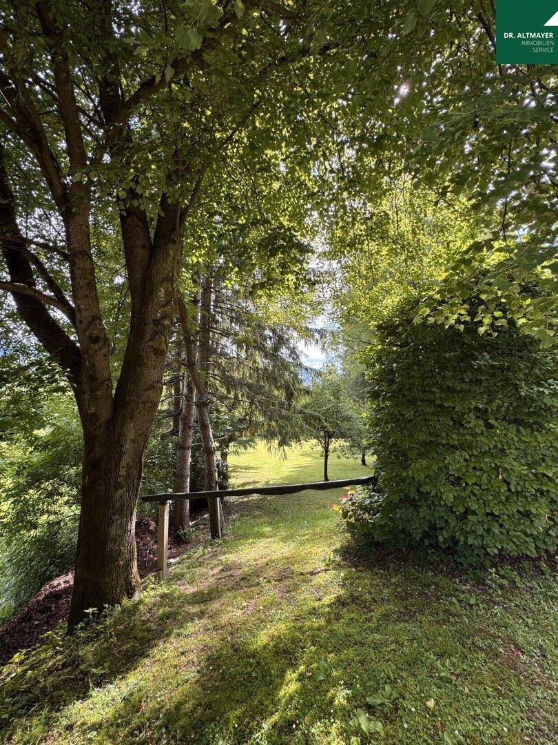 Idyllischer Gartenweg, gesäumt von hohen Bäumen, durch den das Sonnenlicht fällt und eine ruhige Atmosphäre schafft.