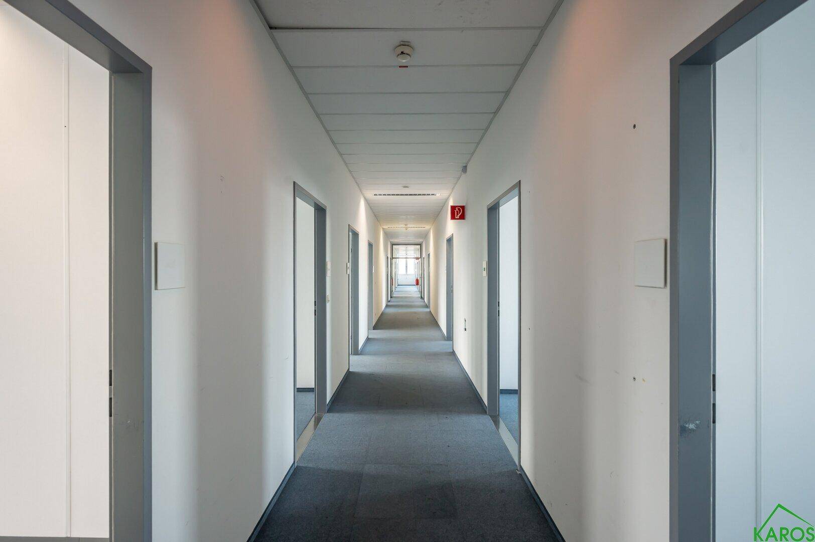 Langer, leerer Flur mit Teppichboden und vielen Türen, der sich in die Ferne erstreckt.