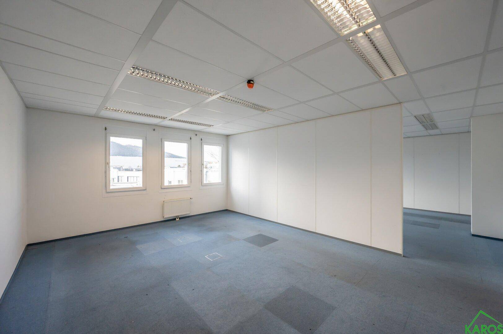 Leeres und helles Büro mit blauer Teppichboden, weißen Wänden und drei Fenstern für viel Tageslicht.