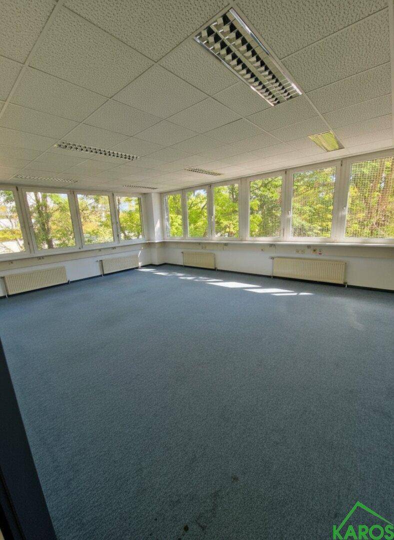 Leeres, helles Büro mit blauer Teppichboden, vielen Fenstern und Heizkörpern unter den Fensterbänken.