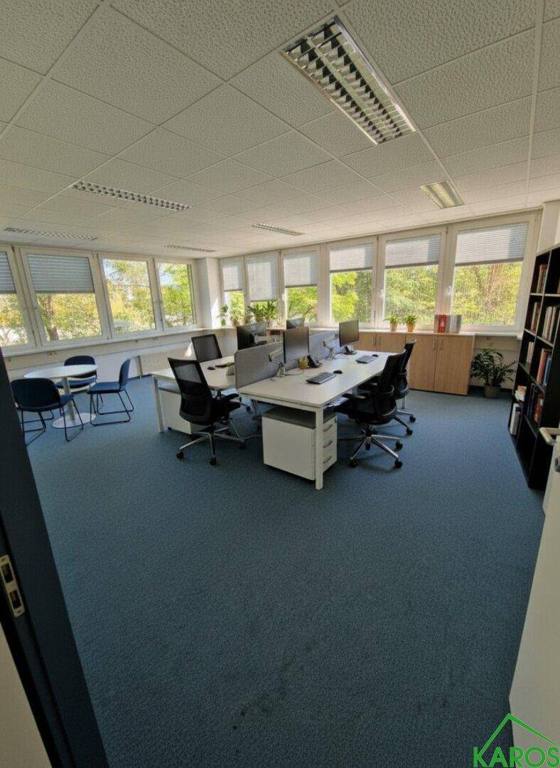 Geräumiges und helles Büro mit mehreren Arbeitsplätzen, blauer Teppichboden und Blick ins Grüne durch große Fenster.