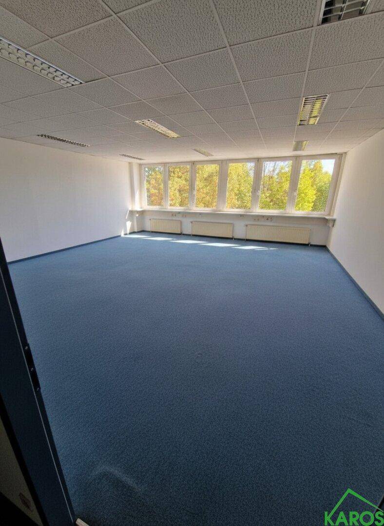 Leeres Büro mit blauer Teppichboden, großen Fenstern und viel natürlichem Licht, bereit zur Einrichtung.