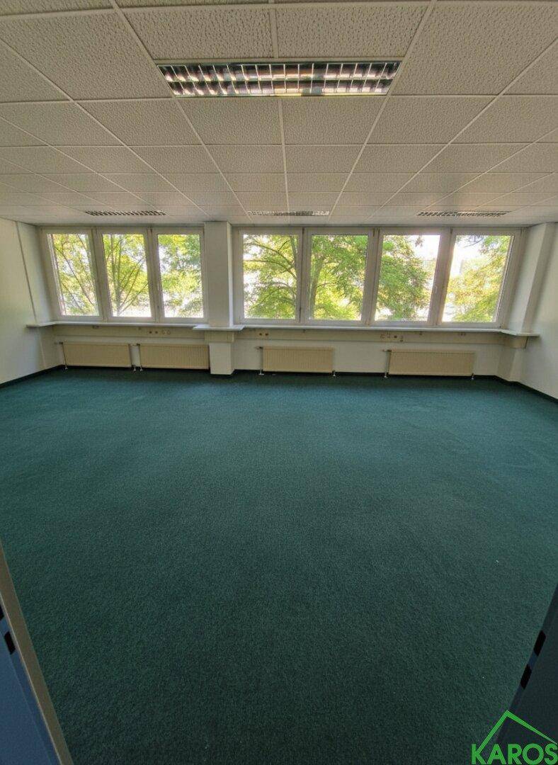 Geräumiges, leeres Büro mit grünem Teppichboden und einer Reihe großer Fenster mit Blick ins Grüne.