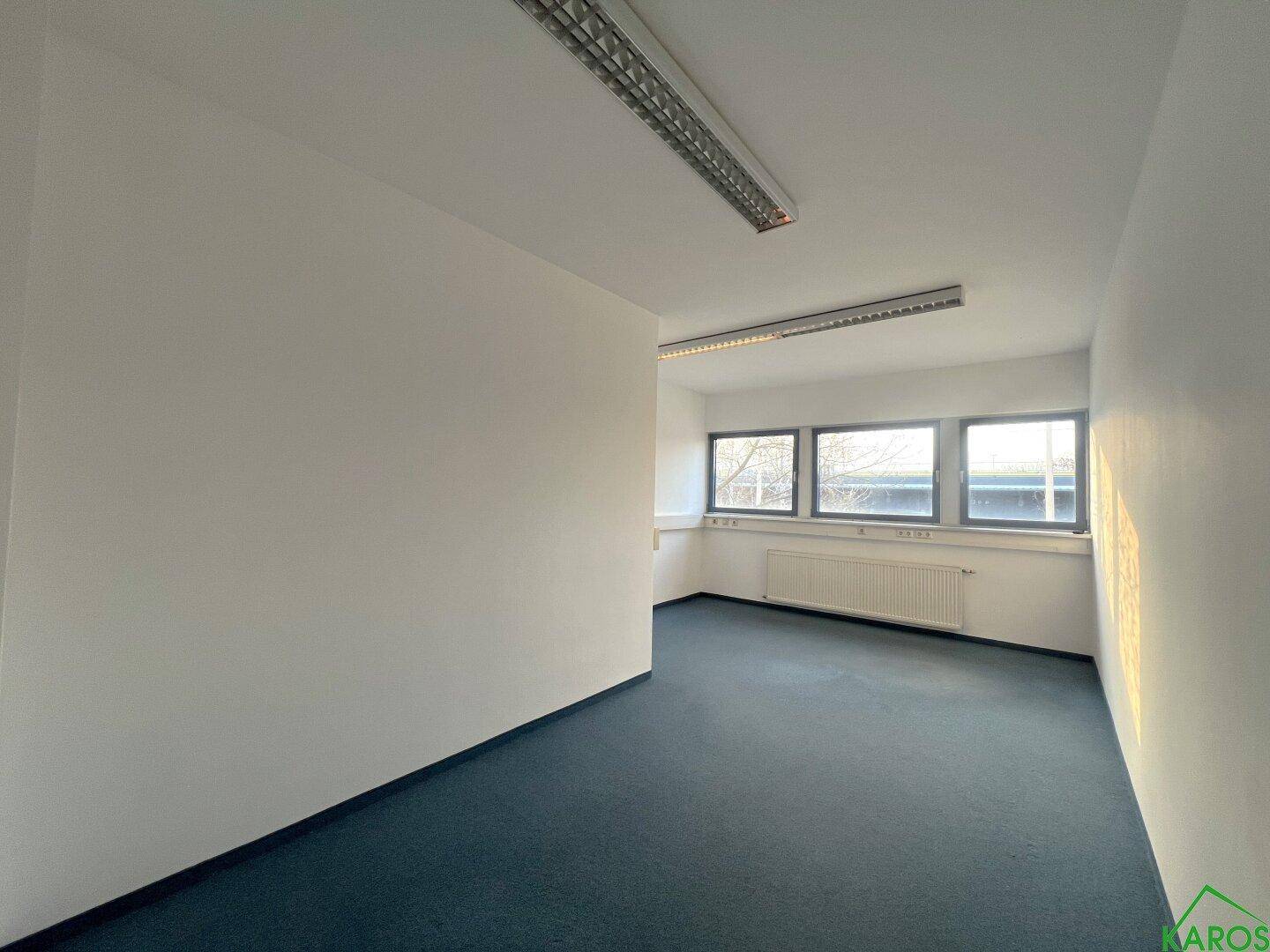 Leerer Büroraum mit blauem Teppichboden, weißen Wänden und mehreren Fenstern für viel Tageslicht.