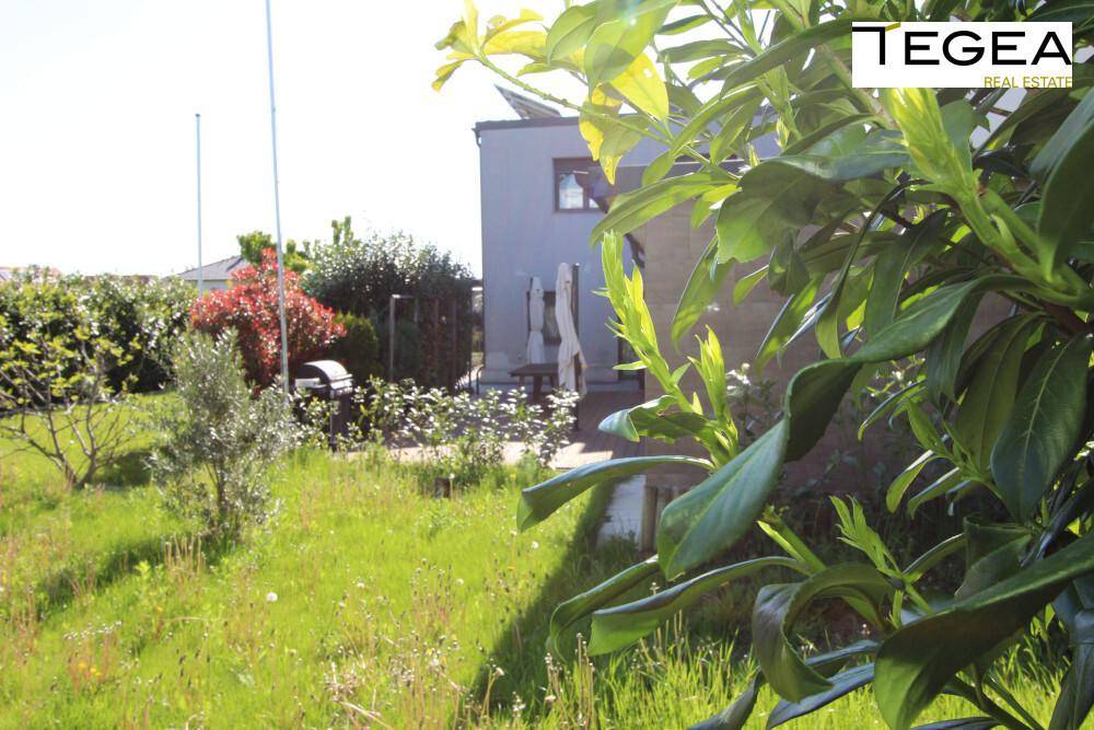 Grüner Gartenbereich mit jungen Bäumen und Sträuchern, der das moderne Wohnhaus umgibt.