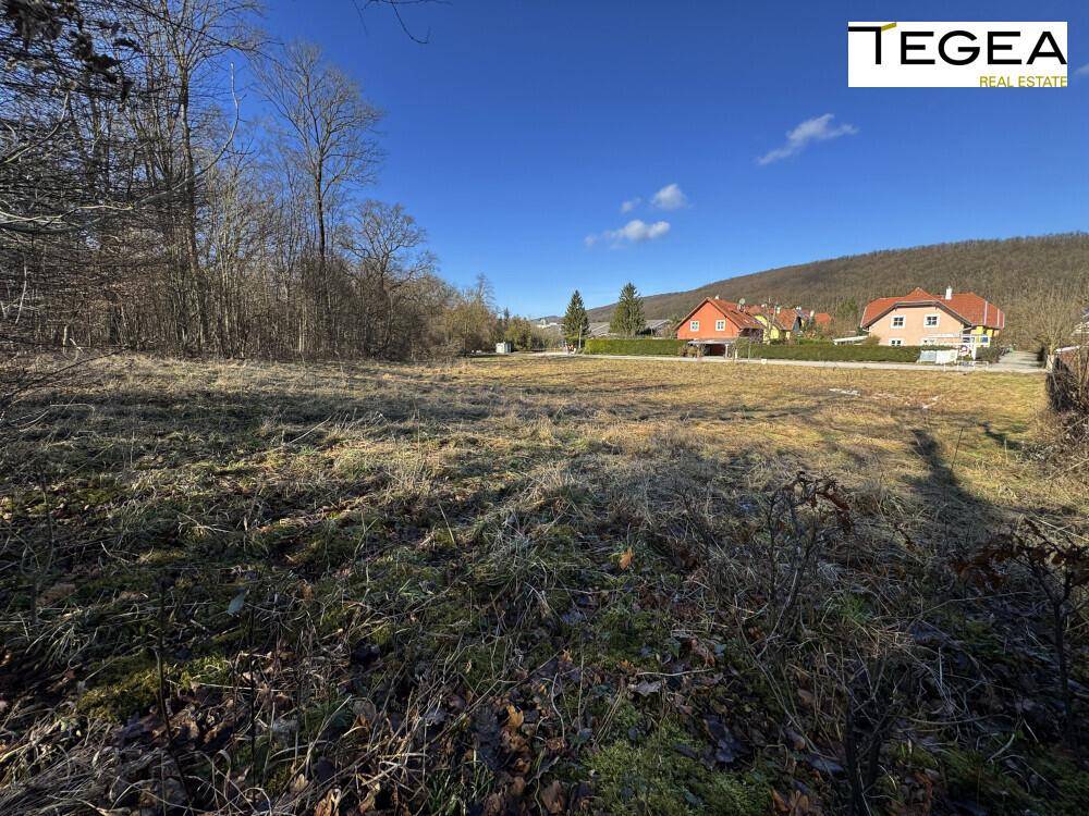 Weitläufige Wiesenfläche mit Blick auf die Nachbarhäuser und die bewaldeten Hügel in der Ferne.