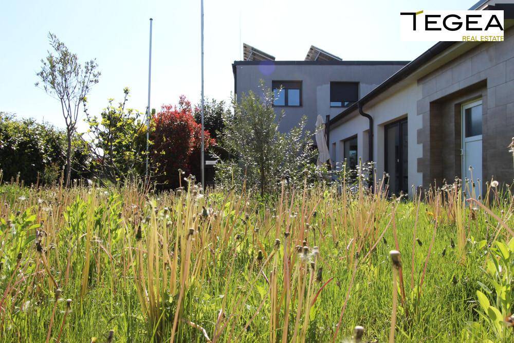 Naturbelassener Gartenbereich mit hohen Gräsern und dem modernen Wohngebäude im Hintergrund.