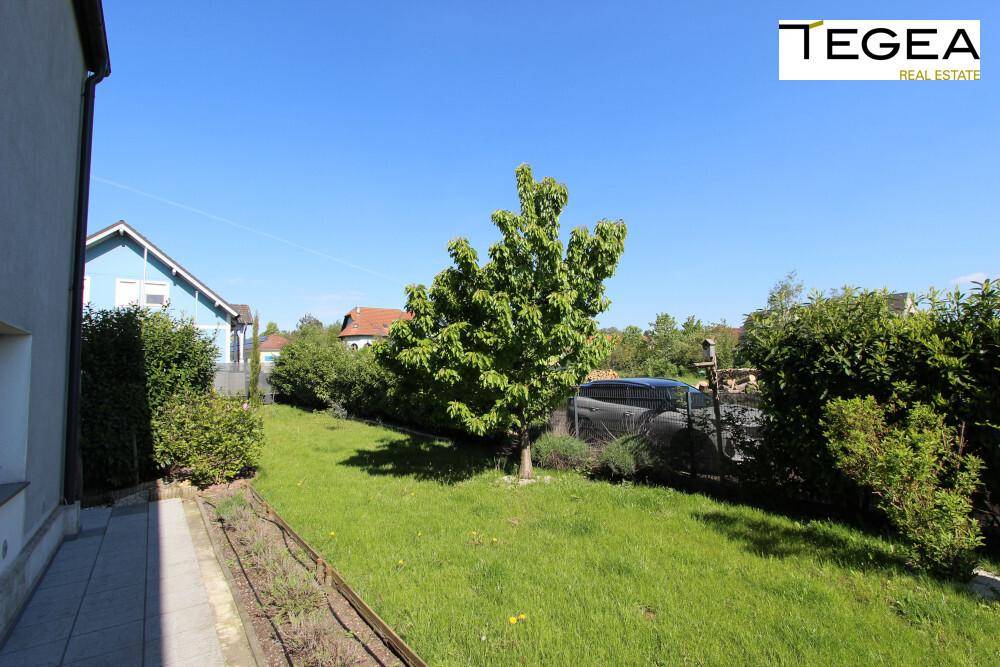 Sonnige Rasenfläche im Garten mit Bäumen und Blick auf das Nachbarhaus.