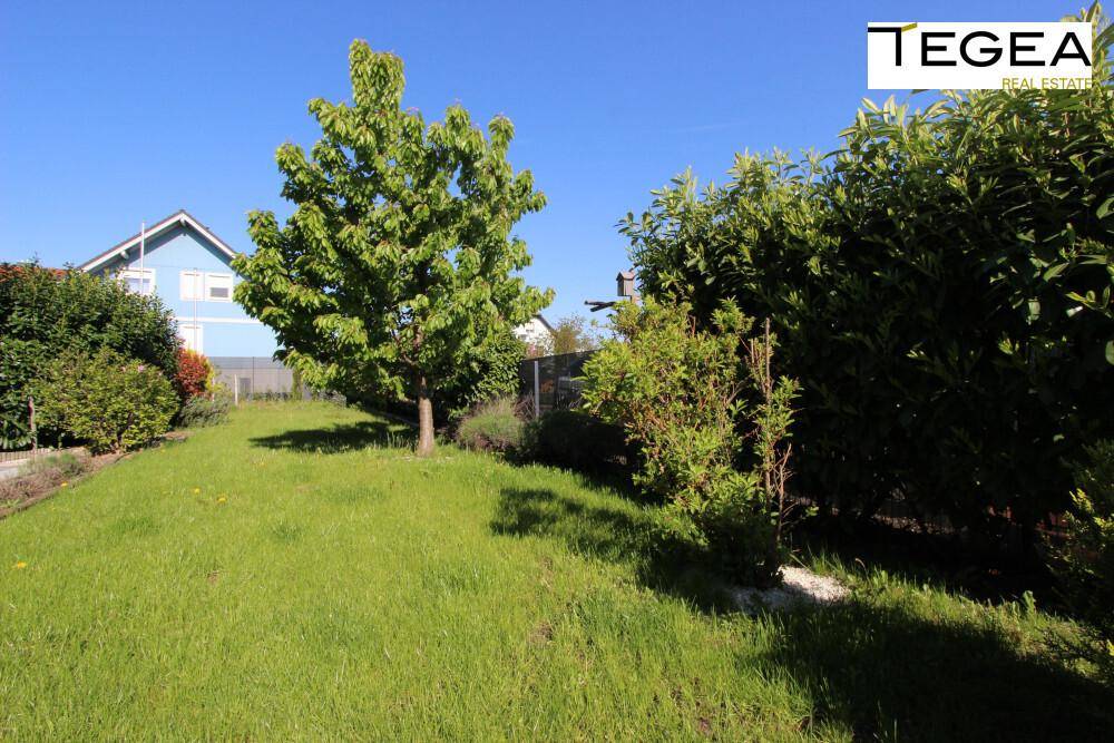 Gepflegter Garten mit Rasenfläche, Bäumen und Hecken unter blauem Himmel.
