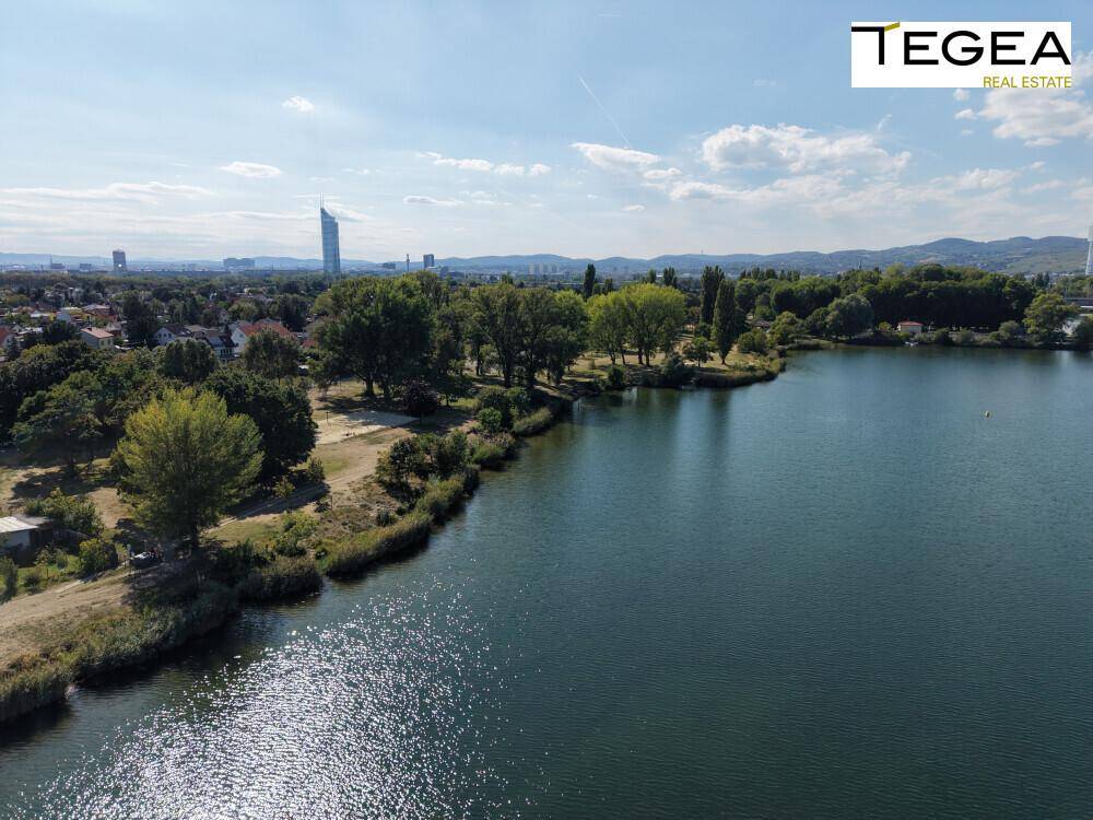 Weitläufiger Blick über den See mit grünen Ufern und einer Bergkette am Horizont.