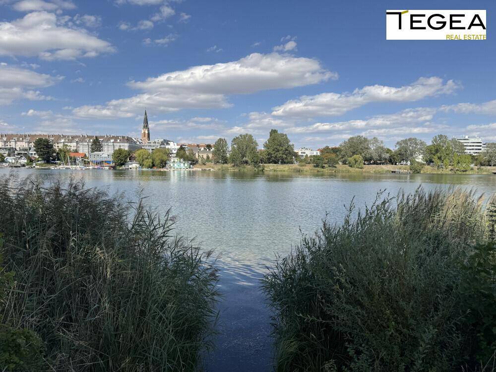 Ruhiger Blick über den See mit Schilf im Vordergrund und einer Stadtkulisse am Horizont.