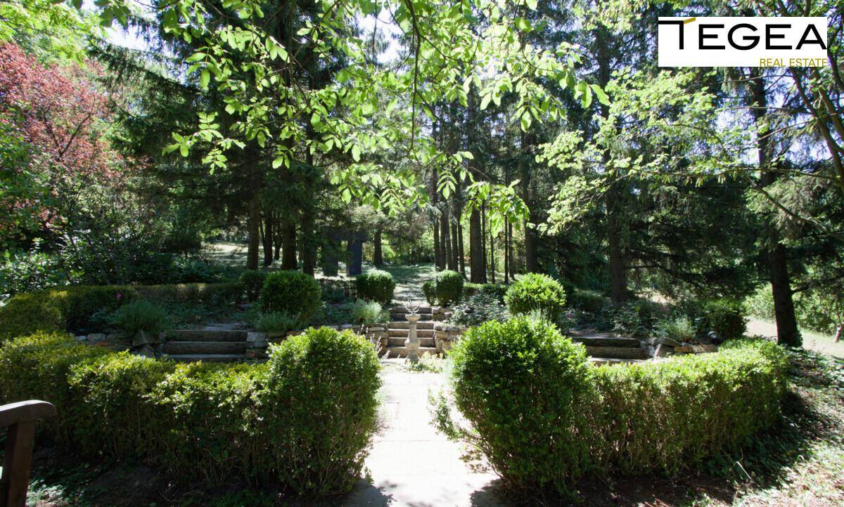 Ein idyllischer Gartenweg mit Stufen, umgeben von üppigem Grün und gepflegten Hecken.