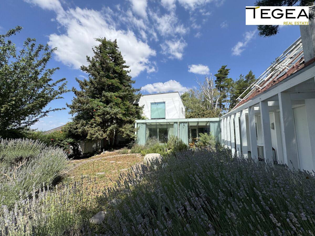 Weitläufiger Gartenbereich mit üppiger Vegetation und Blick auf die moderne Architektur des Hauses.