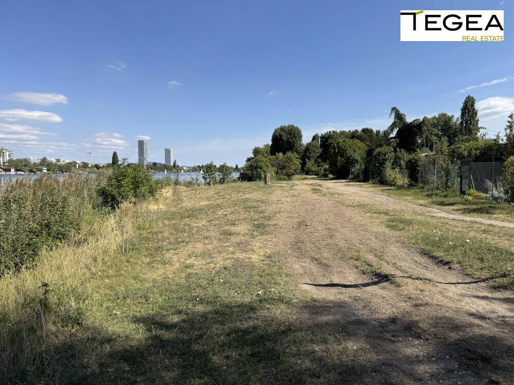 Große, offene Grünfläche mit Gras und Bäumen, ideal für Gartenaktivitäten.